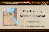 Central Agency For Organization And Administration The Training System in Egypt Presented by Dr. Iman Abdel Mohsen الجهاز المركزى للتنظيم والإدارة.
