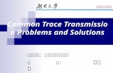 Common Trace Transmission Problems and Solutions 授课单位：计算机与通信学院 主 讲： 胡波平 研究生专业课程.