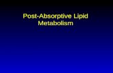 Post-Absorptive Lipid Metabolism. Lipid Metabolism Terms Lipogenesis –Making of fat from dietary fat or dietary CHO Lipolysis –Breaking down of fat: GIT,