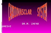 DR.M. ZAFAR QURESHI. INTRODUCTION  Cardiovascular system comprises of  Heart  Arteries  Veins  Capillaries.
