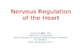 Nervous Regulation of the Heart Qiang XIA (夏强), PhD Department of Physiology Room C518, Block C, Research Building, School of Medicine Tel: 88208252 Email: