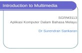 Introduction to Multimedia SGRM3113 Aplikasi Komputer Dalam Bahasa Melayu Dr Surendran Sankaran.
