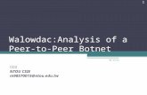 Walowdac:Analysis of a Peer-to-Peer Botnet 林佳宜 NTOU CSIE m98570015@ntou.edu.tw 11/19/2015 1.
