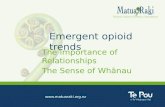 Www.tepou.co.nz  Emergent opioid trends The Importance of Relationships The Sense of Whānau.