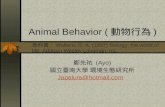Animal Behavior ( 動物行為 ) 鄭先祐 (Ayo) 國立臺南大學 環境生態研究所 Japalura@hotmail.com 教科書： Wallace, R. A. (1997) Biology: the world of life. Addison
