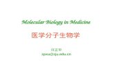 Molecular Biology in Medicine 医学分子生物学 许正平 zpxu@zju.edu.cn.