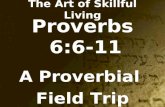 Proverbs 6:6-11 A Proverbial Field Trip The Art of Skillful Living.
