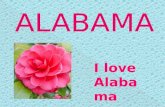 ALABAMA I love Alabama NATALIE ENNIS MRS.HAGLER MARCH 23 4 th GRADE Alabama History Project.