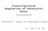 Transcriptional Regulation of Eukaryotic Genes 真核基因的转录调控 Reference ： Genes IX (Benjamin Lewin) 郭红卫 2008.11.20 PKU.