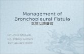 Management of Bronchopleural Fistula 氣管肋膜廔管 Dr Grace SM Lam ICU Friday Lecture 16 th January, 2009.