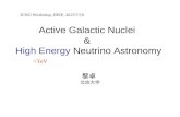 Active Galactic Nuclei & High Energy Neutrino Astronomy 黎卓 北京大学 >TeV JUNO Workshop, IHEP, 2015/7/10.