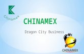 Dragon City Business. Vice President of CHINAMEX Former 1 st Secretary of Commercial Office of Chinese Embassy in Beirut 9 years’ living in Arab countries.
