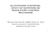 1 GLUTATHIONE SYNTHESIS, EFECT OF NUTRITION ON REGULATORY CONTROL MECHANISM Mohammad Hanafi, MBBS (Syd).,dr.,MS.) Senior Lecturer in Biochemistry Medical.