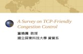 A Survey on TCP-Friendly Congestion Control 童曉儒 教授 國立屏東科技大學 資管系.