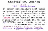 Chapter 19. Amines ( 胺） 19.1 Nomenclature In common nomenclature most primary amines are named as alkylamines. In systematic nomenclature they are named.