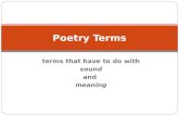 Terms that have to do with sound and meaning Poetry Terms.