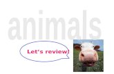 Let’s review!. My favorite animal is a ~.