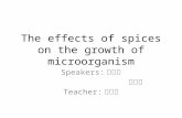 The effects of spices on the growth of microorganism Speakers: 許耕嘉 陳詠暄 Teacher: 許慶文.