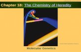Chapter 18: The Chemistry of HeredityThe Chemistry of Heredity Molecular Genetics © 2003 John Wiley and Sons Publishers Courtesy Alfred Pasieka/Peter Arnold,