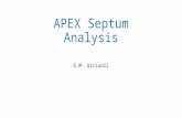 APEX Septum Analysis G.M. Urciuoli. Comparison between PREX septum field (from SNAKE input), and APEX septum field (from TOSCA simulations). Y axis.