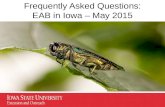 Frequently Asked Questions: EAB in Iowa – May 2015.