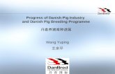 Progress of Danish Pig Industry and Danish Pig Breeding Programme 丹麦养猪育种进展 Wang Yuping 王余平.