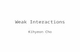 Weak Interactions Kihyeon Cho. 2 입자의 표준모형 (The Standard Model)
