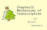 Chapter12 Mechanisms of Transcription 胡红霞 04 级生物科学 胡红霞 04 级生物科学 200431060178 200431060178.