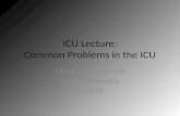 ICU Lecture: Common Problems in the ICU Christian Sonnier MD LSU-FP Alexandria 6/23/15.