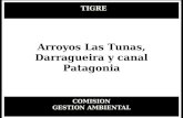 TIGRE COMISION GESTION AMBIENTAL Arroyos Las Tunas, Darragueira y canal Patagonia.