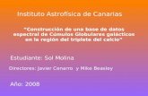 Instituto Astrofísica de Canarias “Construcción de una base de datos espectral de Cúmulos Globulares galácticos en la región del triplete del calcio” Estudiante: