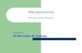 Macroeconomía Prof. Juan Gabriel Rodríguez Capítulo 5 El Mercado de Trabajo.
