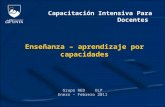 Capacitación Intensiva Para Docentes Enseñanza – aprendizaje por capacidades Grupo RED ULP Enero – Febrero 2011.