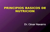 PRINCIPIOS BASICOS DE NUTRICION Dr. César Navarro.