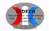 SEDECO Secretaría de Defensa del Consumidor y el Usuario Ing. Enrique Bordón Ministro Secretario.
