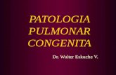 PATOLOGIA PULMONAR CONGENITA Dr. Walter Eskuche V.