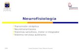 2009Loreto Pomodoro Cirano, Matrona Docente Neurofisiología  Transmisión sináptica  Neurotransmisores  Sistemas sensitivos, motor e integrador  Sistema.