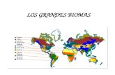 LOS GRANDES BIOMAS. ZONAS CLIMÁTICAS En la tierra existen dos zonas frías (en los Polos), dos templadas y una cálida. España está situada en la zona templada.