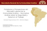Fortalezas y Perspectivas del Mercado Laboral de la Comunidad Andina – Normativa Andina sobre la Seguridad y Salud en el Trabajo Seminario Regional Andino.