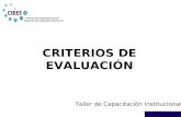 Taller de Capacitación Institucional CRITERIOS DE EVALUACIÓN.