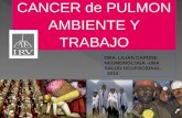 CANCER de PULMON AMBIENTE Y TRABAJO DRA. LILIAN CAPONE NEUMONOLOGA -UBA SALUD OCUPACIONAL 2014.