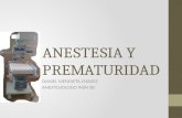 ANESTESIA Y PREMATURIDAD DANIEL MENDIETA CHAVEZ ANESTESIOLOGO INSN SB.