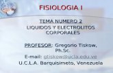 FISIOLOGIA I TEMA NUMERO 2 LIQUIDOS Y ELECTROLITOS CORPORALES PROFESOR: Gregorio Tiskow, Ph.Sc. E-mail: gtiskow@ucla.edu.ve gtiskow@ucla.edu.ve U.C.L.A.