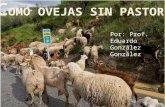 Por: Prof. Eduardo González González. Pensamiento Inicial : “Entonces Micaías dijo: He visto a todo Israel derramado por los montes como ovejas sin pastor…”