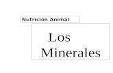 Darío N Camps Los Minerales Nutrición Animal. Darío N Camps Macrominerales Ca P Na Mg K S Cl Microminerales Cu Zn Fe Mn Mo Minerales Traza Se I F Co Cr.