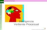 Facultad de Psicología Psicología de las Diferencias Individuales. Angeles Sanchez-Elvira Paniagua Enfoque procesual de la inteligencia Inteligencia Vertiente.