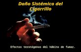 Daño Sistémico del Cigarrillo Efectos teratógenos del hábito de fumar.