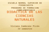 ESCUELA NORMAL SUPERIOR DE PIEDECUESTA PROGRAMA DE FORMACION COMPLEMENTARIA Viviana Zambrano Picón IV semestre.
