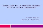 EVALUACIÓN DE LA DENSIDAD MINERAL ÓSEA EN RESTOS ABORÍGENES Julieta Rogiano Héctor M. Musacchio.
