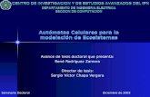 Autómatas Celulares para la modelación de Ecosistemas Avance de tesis doctoral que presenta: René Rodríguez Zamora Director de tesis: Sergio Víctor Chapa.
